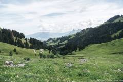 Vue sur la Dent de Broc au fond à droite (21 juin 2020)