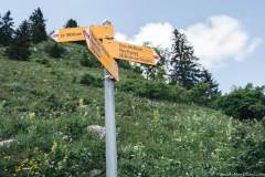 Continuer vers Gros Moléson (21 juin 2020)