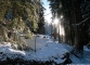Dans la forêt (23 février 2014)