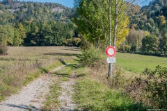 Chemin menant aux Meulières de Grande Gueule (14 octobre 2017)