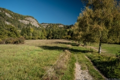 Chemin menant aux Meulières de Grande Gueule (14 octobre 2017)