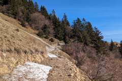 Le chemin revenant par le sous-bois situé sur la face sud et ramenant à la buvette a été élargi récemment (28 janvier 2024)