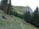 Passage près des sapins