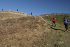 Montée vers la Sarre des Ebauds (18 novembre 2018)