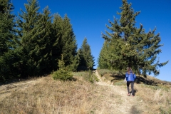 Montée vers le sommet (18 novembre 2018)