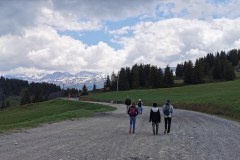 Large piste à suivre (31 mai 2020)