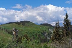 Vue depuis le sentier (31 mai 2020)