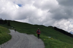 De nouveau sur la piste avec au fond à droite, le Mont Clocher (31 mai 2020)