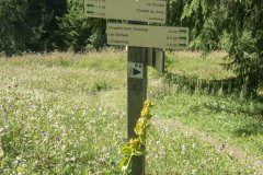 Suivre la direction de Lenlevay (1er août 2019)