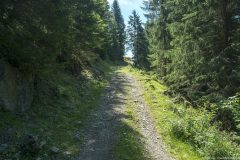 Piste menant aux divers chalets que l'on rencontre sur notre itinéraire (1er août 2019)
