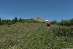 La montée sur la Crête de Coicon est assez raide (1er août 2019)
