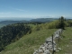 Vue sur les Alpes depuis les pentes du Mont d'Or (31 mai 2019)