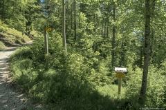 Virer à droite pour descendre sur le Sentier des Planètes (31 mai 2019)