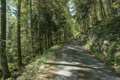 Route goudronnée allant vers Pralioux Dessous (31 mai 2019)