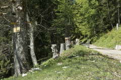 Route goudronnée allant vers Pralioux Dessus (31 mai 2019)