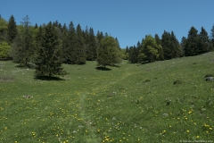 Alpage de Pralioux Dessus (31 mai 2019)