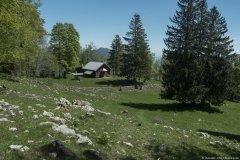 Cabane du Mont d'Or (31 mai 2019)