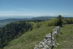 Vue sur les Alpes depuis les pentes du Mont d'Or (31 mai 2019)