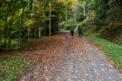 Montée dans la forêt (1er octobre 2017)