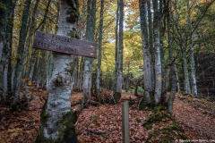 Suivre la direction du Forchat (1er octobre 2017)