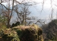 Depuis la chapelle