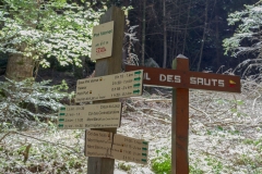 Départ du sentier au parking du Pré Vernet où il faudra suivre le sentier partant à droite allant au Col des Sauts (24 juin 2018)