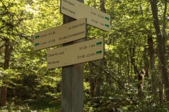 Arrivée à une intersection où il faut continuer de suivre la direction du Creux du Loup et du Pré Vernet pour rejoindre le parking (24 juin 2018)