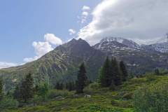 Mont Lachat (4 juin 2022)