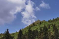 Mont Vorassay (4 juin 2022)