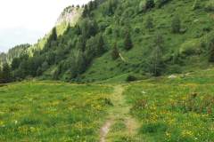 Sentier pour le retour au parking (4 juin 2022)