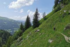 Sentier en traversée qui longe les gorges de la Gruvaz (4 juin 2022)
