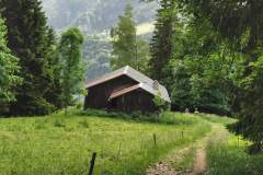 Chalets ou il faudra tourner à gauche (4 juin 2022)