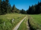 Sentier à emprunter au départ de l'itinéraire (9 septembre 2016)