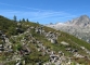 Sentier sur la Montagne du Peclerey (11 septembre 2010)