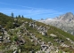 Sentier sur la Montagne du Peclerey (11 septembre 2010)