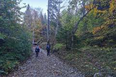 Montée dans la forêt (16 octobre 2022)