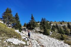 La deuxième partie du parcours sur la Montagne de Sous-Dine rappelle quelque peu les paysages méditerranéens (16 octobre 2022)