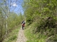 Montée dans la forêt (12 mai 2019)