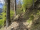 Montée dans la forêt (12 mai 2019)