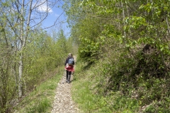 Montée dans la forêt (12 mai 2019)