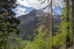 Vue sur le Plan de l'Aigle (12 mai 2019)