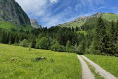 Sentier menant aux Serranants (6 juin 2022)