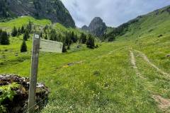 Suivre la direction du Col de Damoz des Moulins (6 juin 2022)