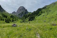 Le Col de Dame des Moulins est situé en face (6 juin 2022)