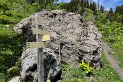 Suivre la direction du Col de Damoz des Moulins (6 juin 2022)
