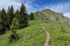 Sentier montant au Pic de la Corne (6 juin 2022)