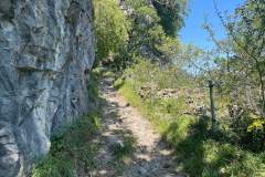 Chemin montant dans la forêt (28 juillet 2024)