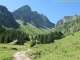 Sentier (20 juillet 2008)