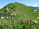 Pointe d'Ardens (20 juillet 2008)