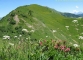 Pointe d'Ardens (20 juillet 2008)
